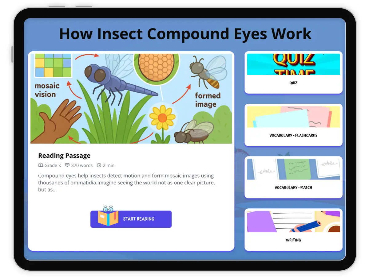 Interactive — Reading Comprehension preview: How Insect Compound Eyes Work covering  standards - Page 1 of 1