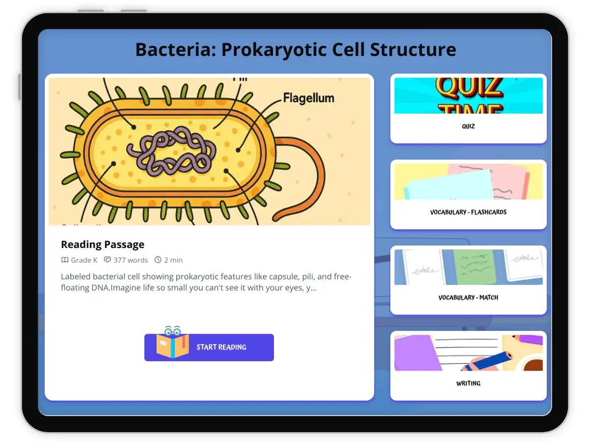Interactive — Reading Comprehension preview: Bacteria: Prokaryotic Cell Structure covering  standards - Page 1 of 1