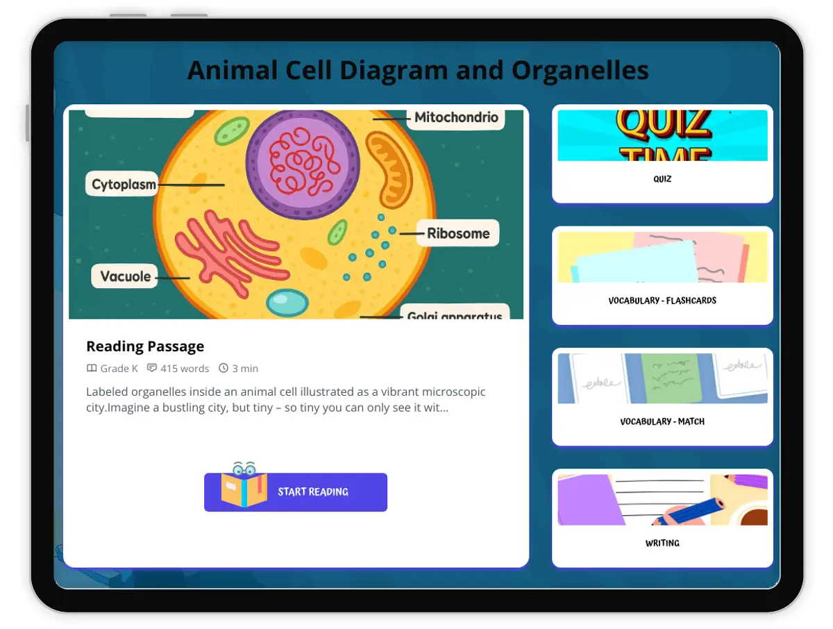 Interactive — Reading Comprehension preview: Animal Cell Diagram and Organelles covering  standards - Page 1 of 1