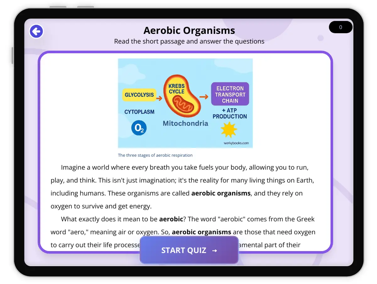 Interactive — Reading Comprehension preview: Aerobic Organisms covering  standards - Page 1 of 1