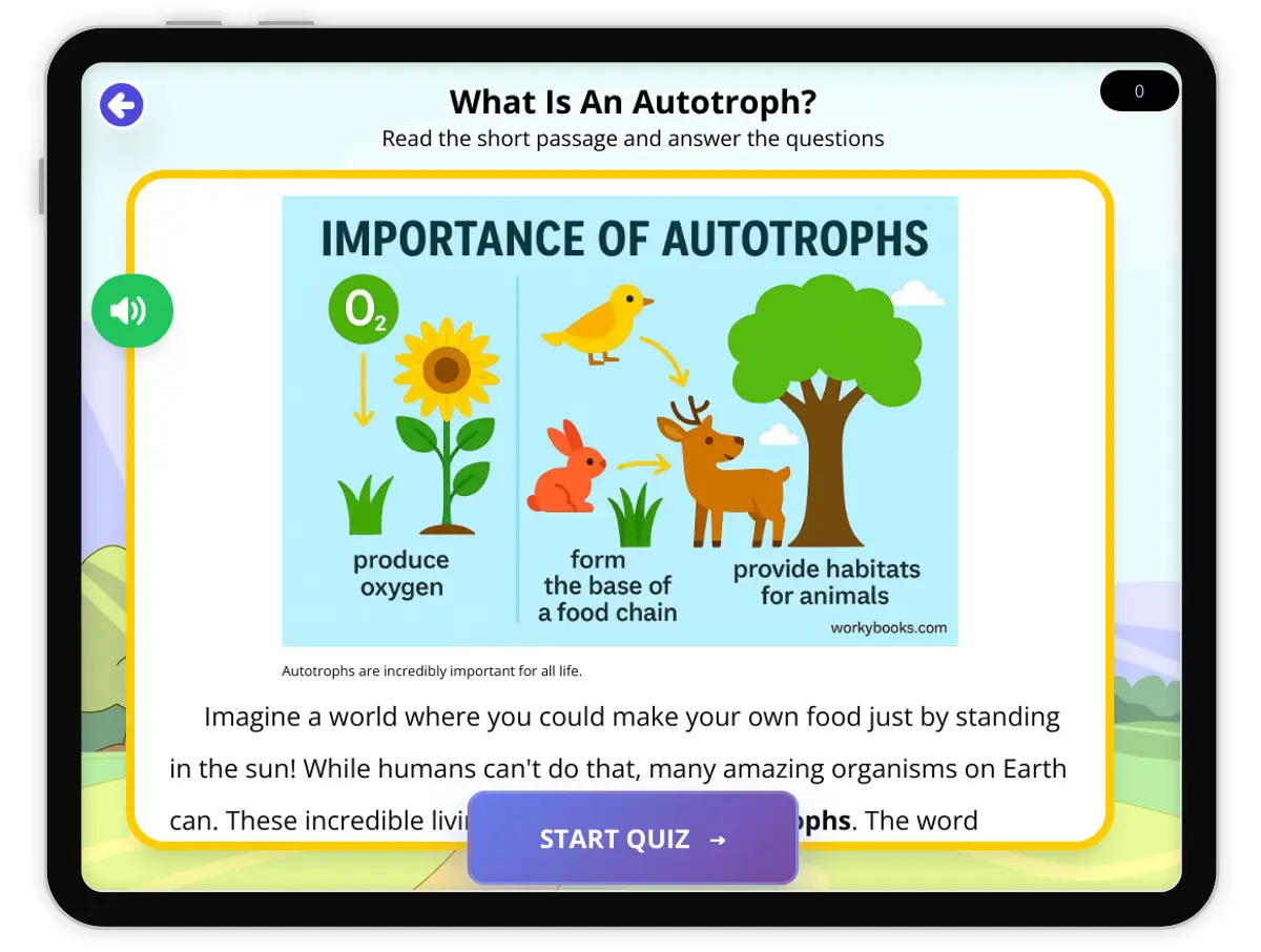 Interactive — Reading Comprehension preview: What Is An Autotroph? covering  standards - Page 1 of 1