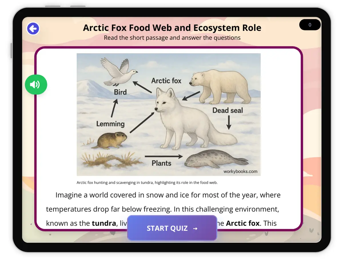 Interactive — Reading Comprehension preview: Arctic Fox Food Web and Ecosystem Role covering  standards - Page 1 of 1