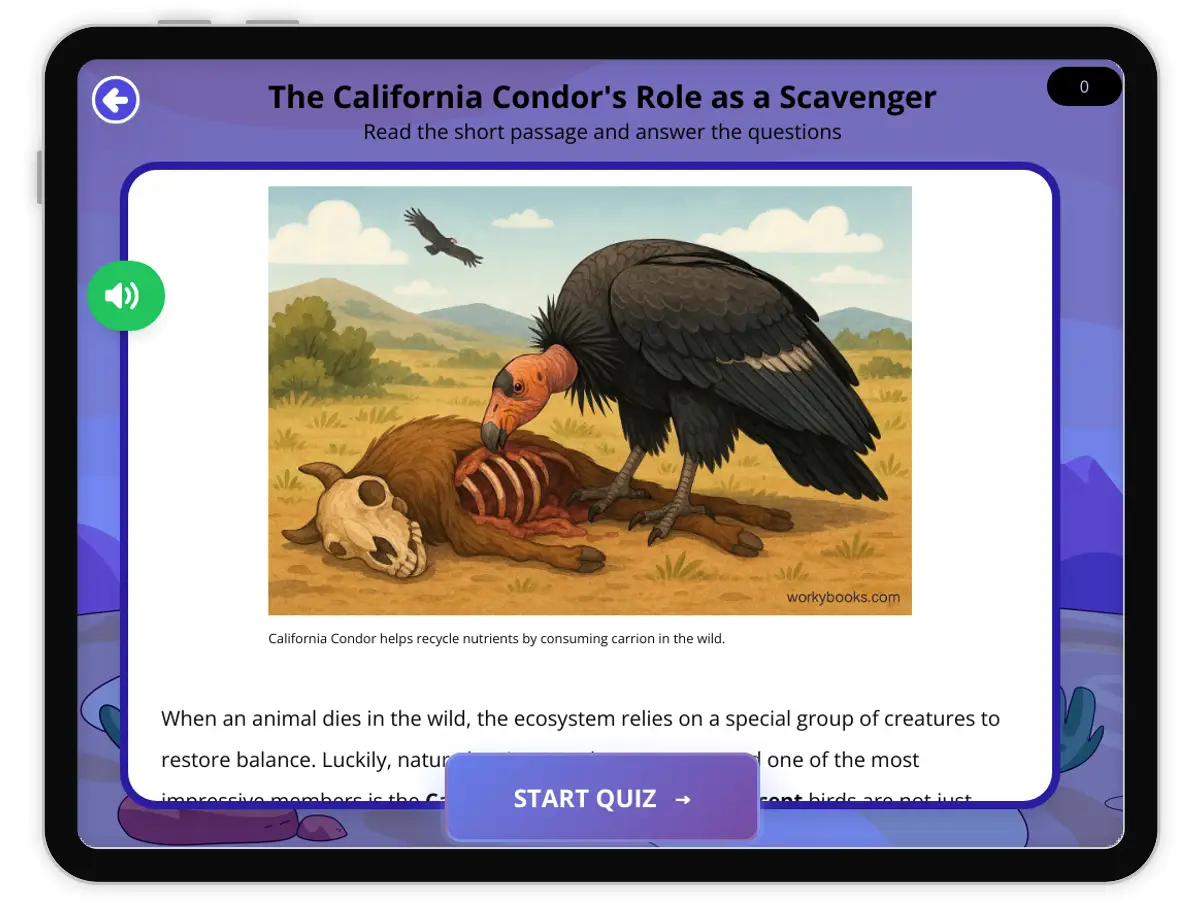 Interactive — Reading Comprehension preview: What Does a  California Condor Eat covering  standards - Page 1 of 1