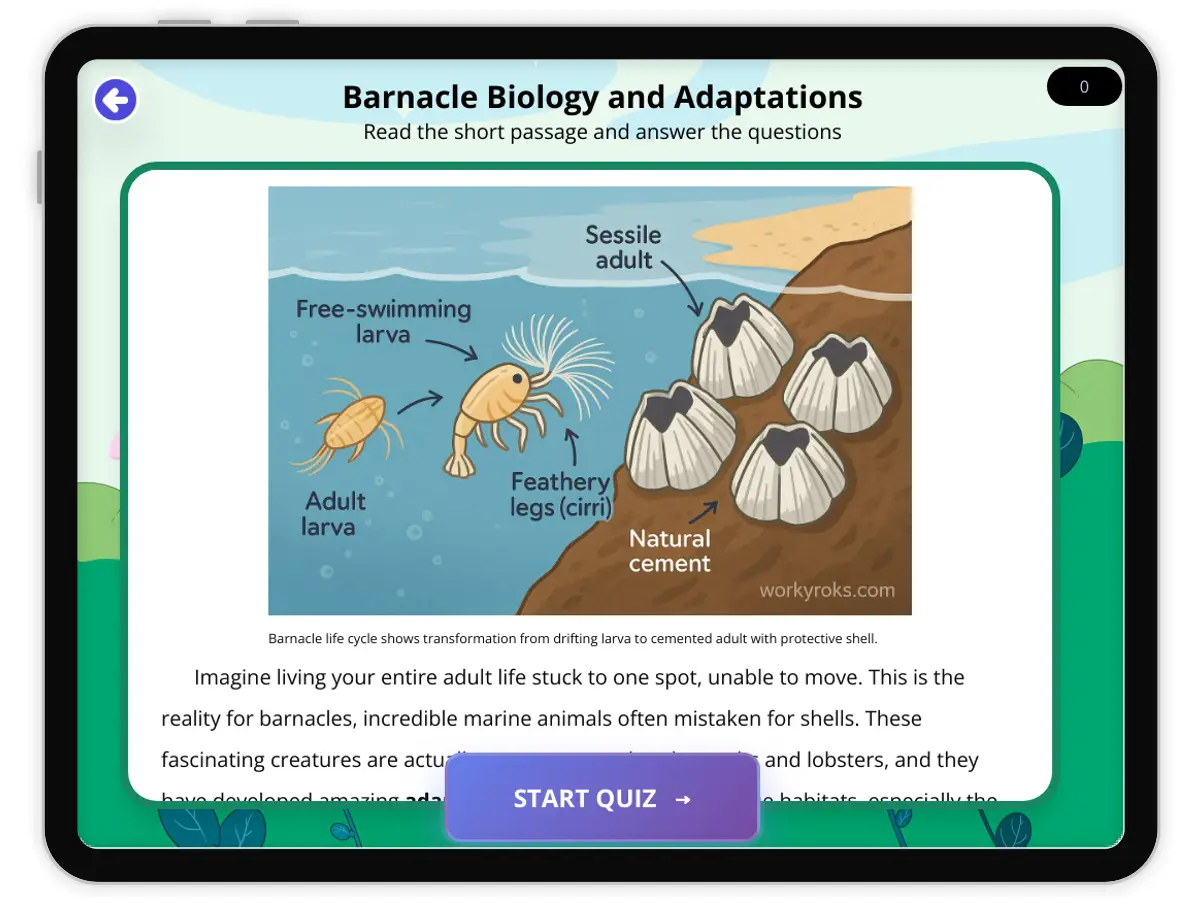 Interactive — Reading Comprehension preview: Barnacle Biology and Adaptations covering  standards - Page 1 of 1