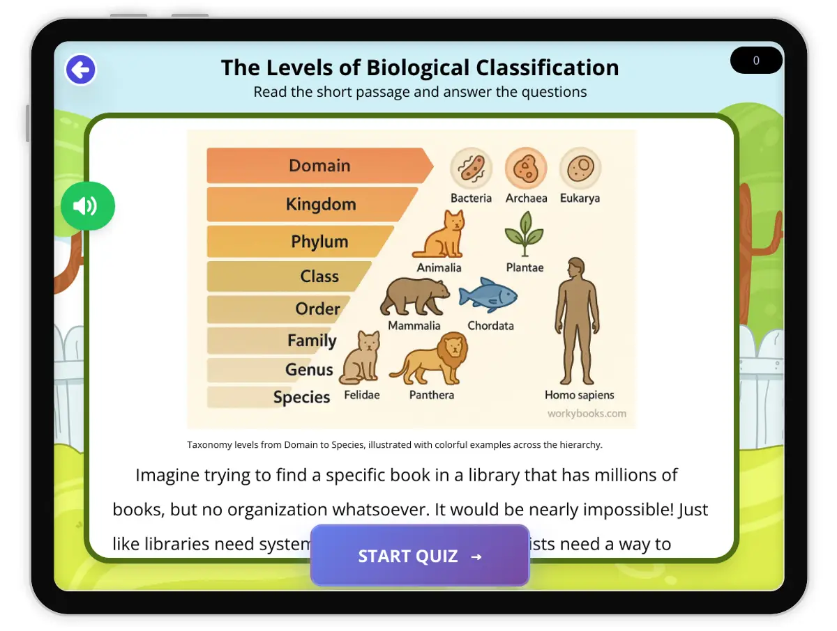 Interactive — Reading Comprehension preview: The Levels of Australopithecus covering  standards - Page 1 of 1
