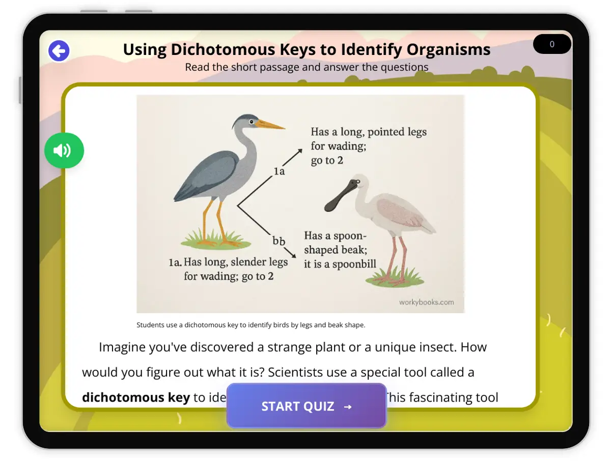 Interactive — Reading Comprehension preview: Using Dichotomous Keys to Identify Organisms covering  standards - Page 1 of 1