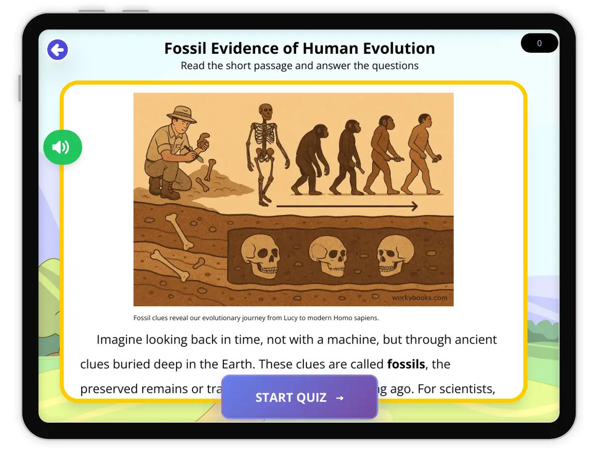 Interactive — Reading Comprehension preview: Fossil Evidence of Human Evolution covering  standards - Page 1 of 1