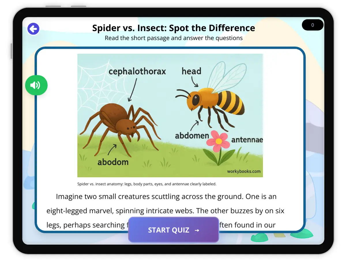 Interactive — Reading Comprehension preview: Spider vs. Insect: Spot the Difference covering  standards - Page 1 of 1