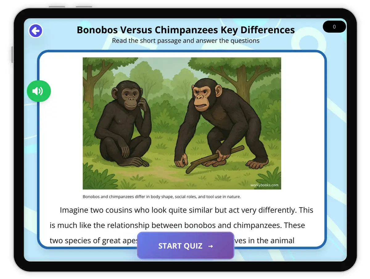 Interactive — Reading Comprehension preview: Bonobos Versus Chimpanzees Key Differences covering  standards - Page 1 of 1
