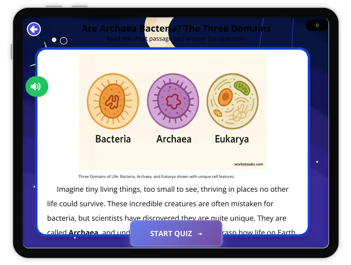 Interactive — Reading Comprehension preview: Are Archaea Bacteria? The Three Domains covering  standards - Page 1 of 1