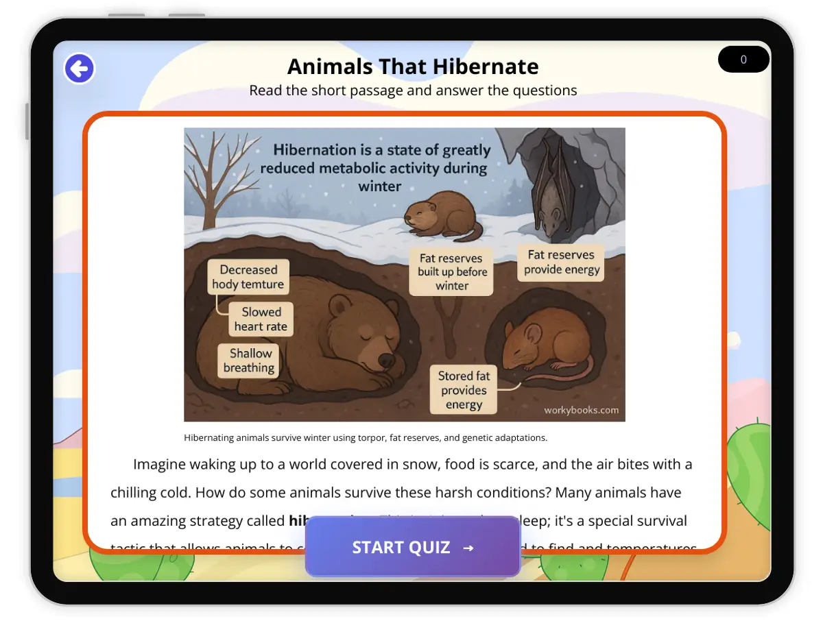 Interactive — Reading Comprehension preview: Animals That Hibernate covering  standards - Page 1 of 1