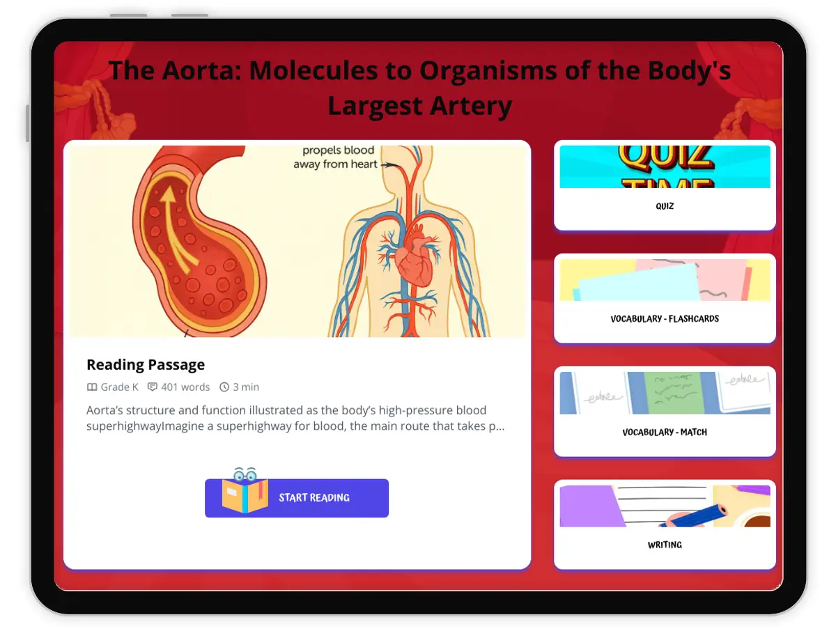 Interactive — Reading Comprehension preview: The Aorta: Molecules to Organisms of the Body's Largest Artery covering  standards - Page 1 of 1