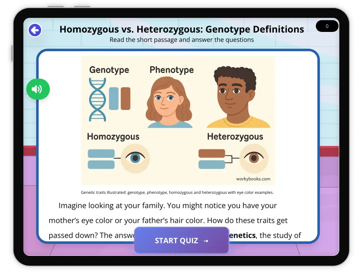 Interactive — Reading Comprehension preview: Homozygous vs. Heterozygous: Genotype Definitions covering  standards - Page 1 of 1