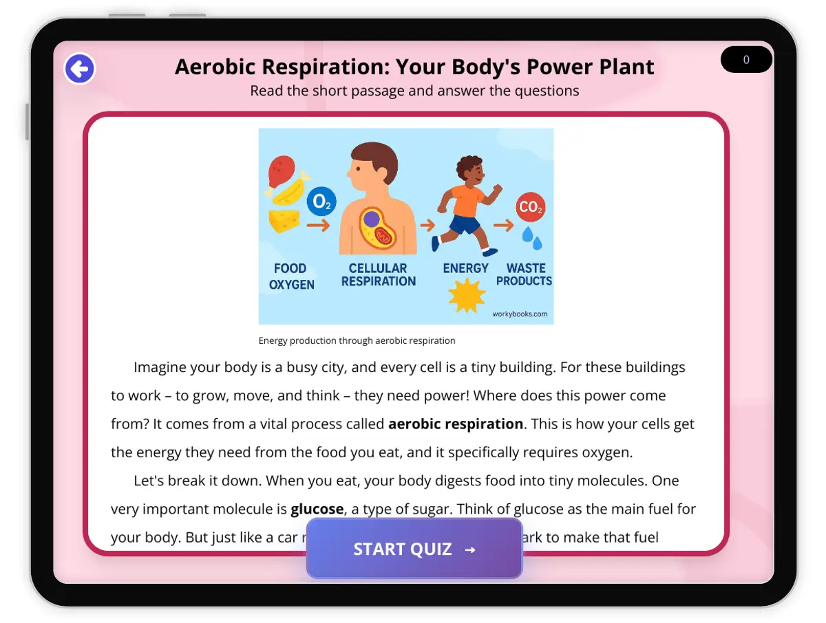 Interactive — Reading Comprehension preview: Aerobic Respiration covering  standards - Page 1 of 1