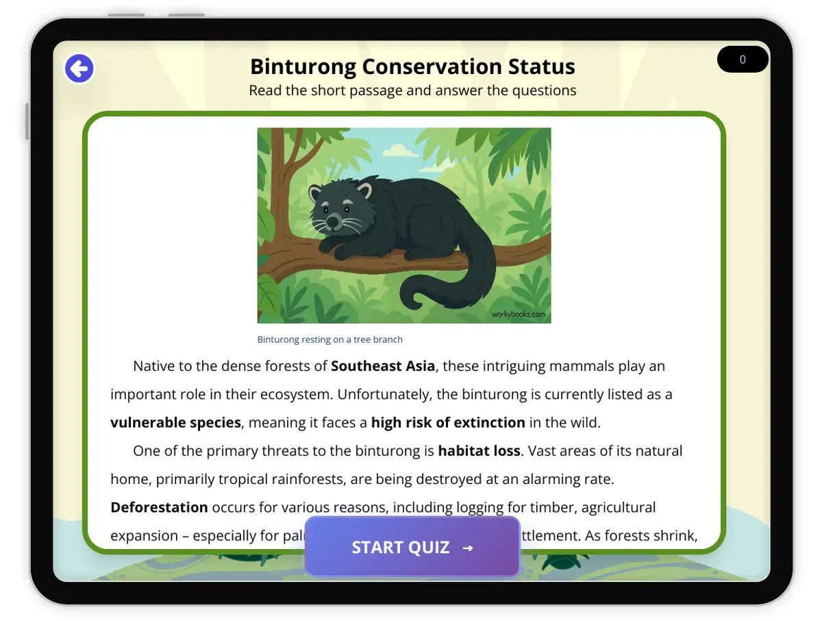 Interactive — Reading Comprehension preview: Binturong Conservation Status covering  standards - Page 1 of 1