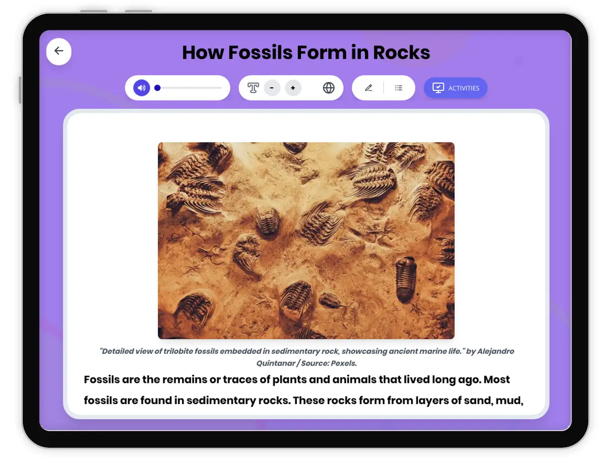 Interactive — Reading Comprehension preview: How Fossils Form in Rocks covering  standards - Page 1 of 1