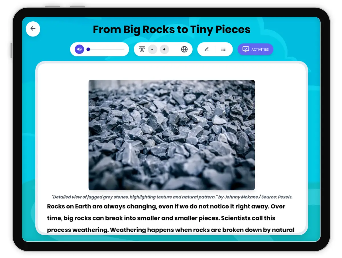 Interactive — Reading Comprehension preview: From Big Rocks to Tiny Pieces covering  standards - Page 1 of 1