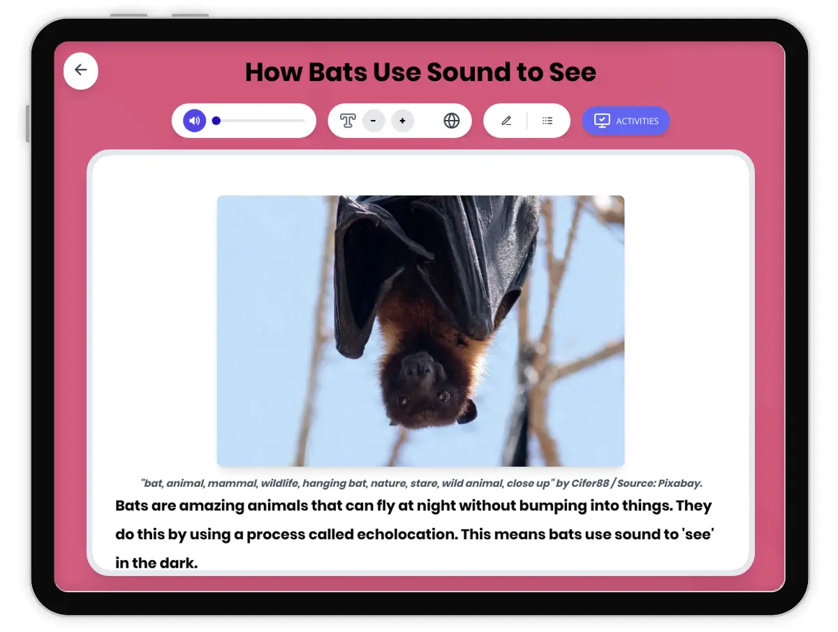 Interactive — Reading Comprehension preview: How Bats Use Sound to See covering  standards - Page 1 of 1