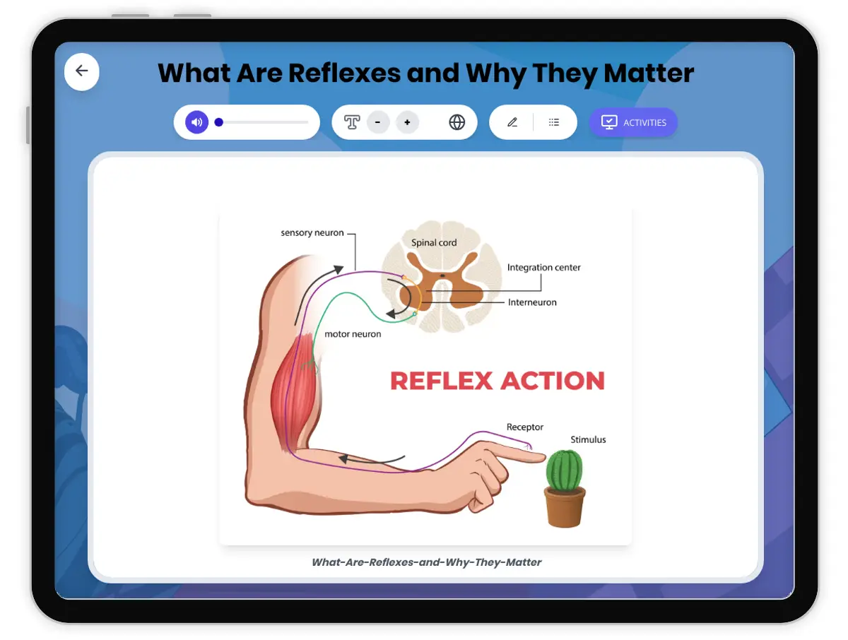 Interactive — Reading Comprehension preview: What Are Reflexes and Why Matter covering  standards - Page 1 of 1