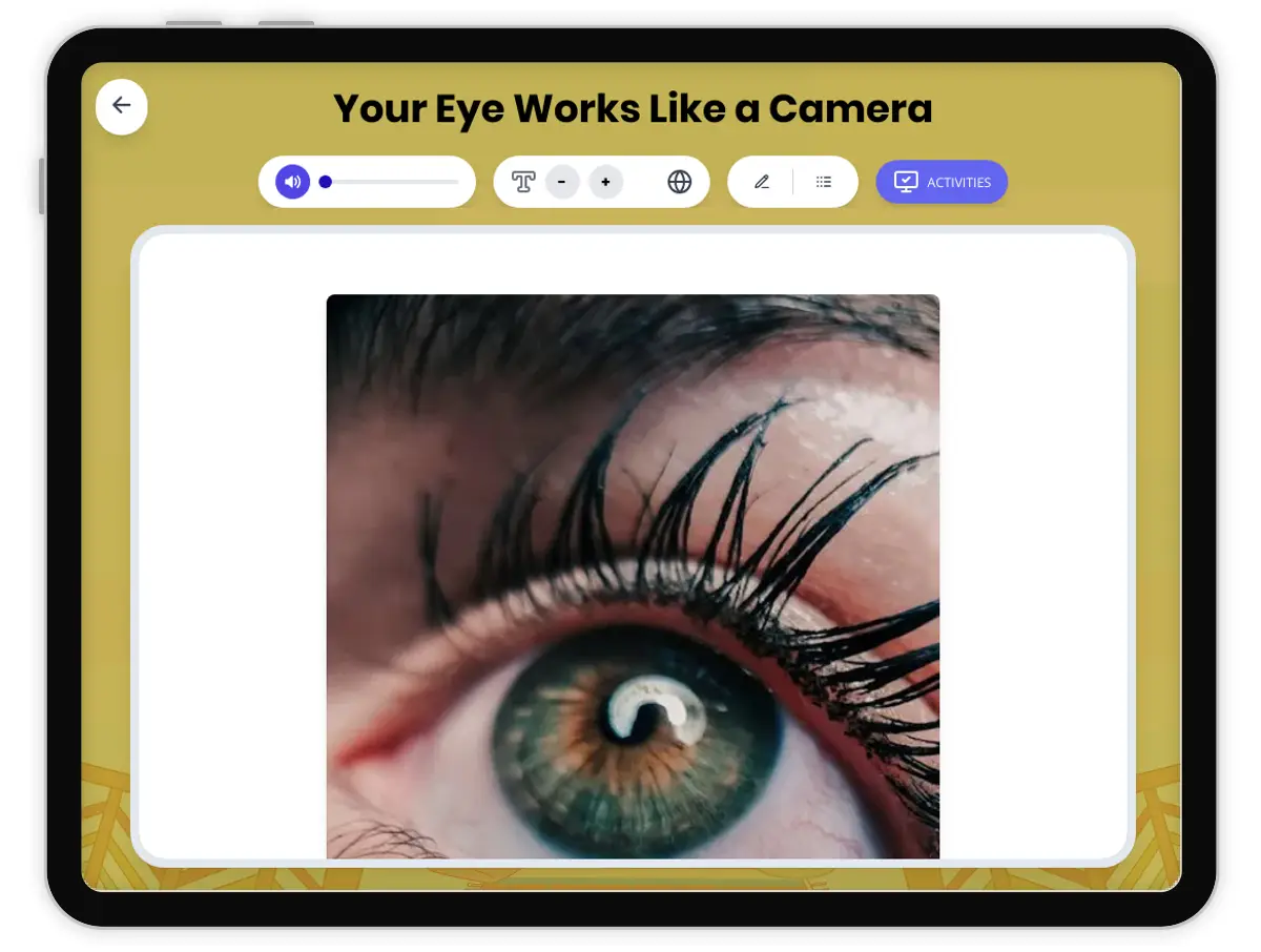 Interactive — Reading Comprehension preview: Your Eye Works Like a Camera covering  standards - Page 1 of 1