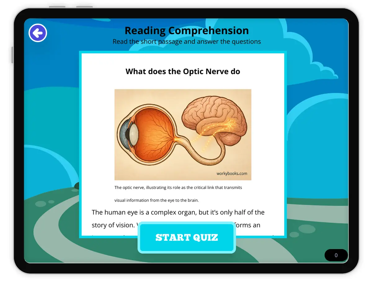 Interactive — Reading Comprehension preview: What does the Optic Nerve Do covering  standards - Page 1 of null