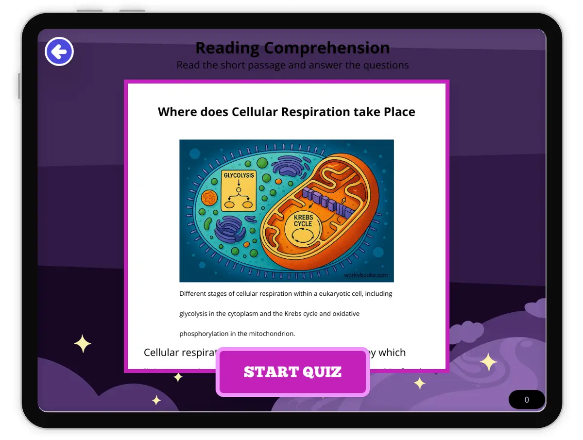 Interactive — Reading Comprehension preview: Where does Cellular Respiration take Place covering  standards - Page 1 of null
