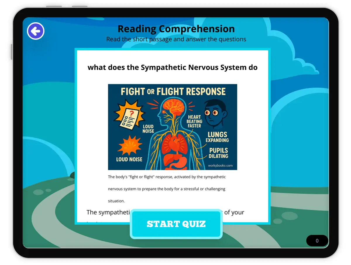 Interactive — Reading Comprehension preview: what does the sympathetic nervous system do covering  standards - Page 1 of null