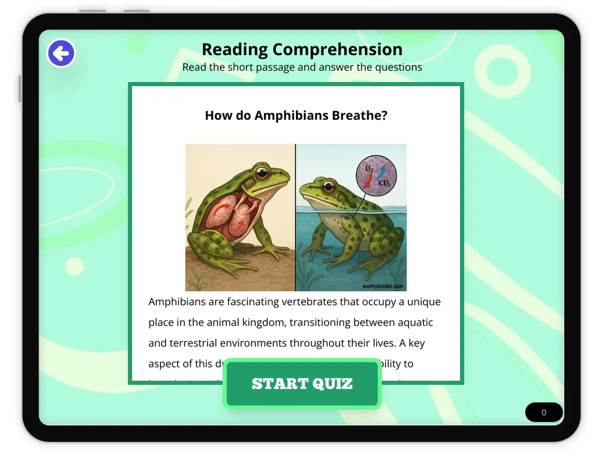 Interactive — Reading Comprehension preview: How do Amphibians Breathe? covering  standards - Page 1 of null