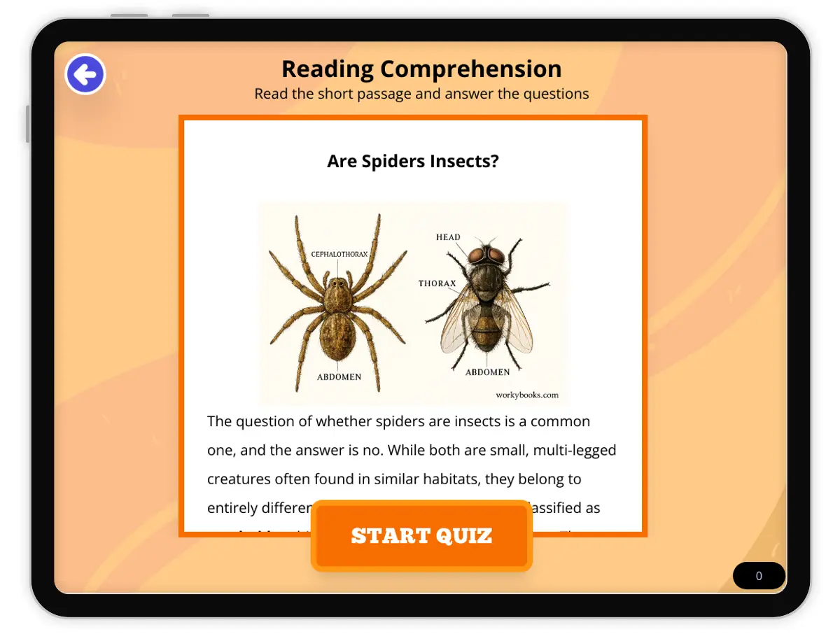 Interactive — Reading Comprehension preview: Are Spiders Insects? covering  standards - Page 1 of null