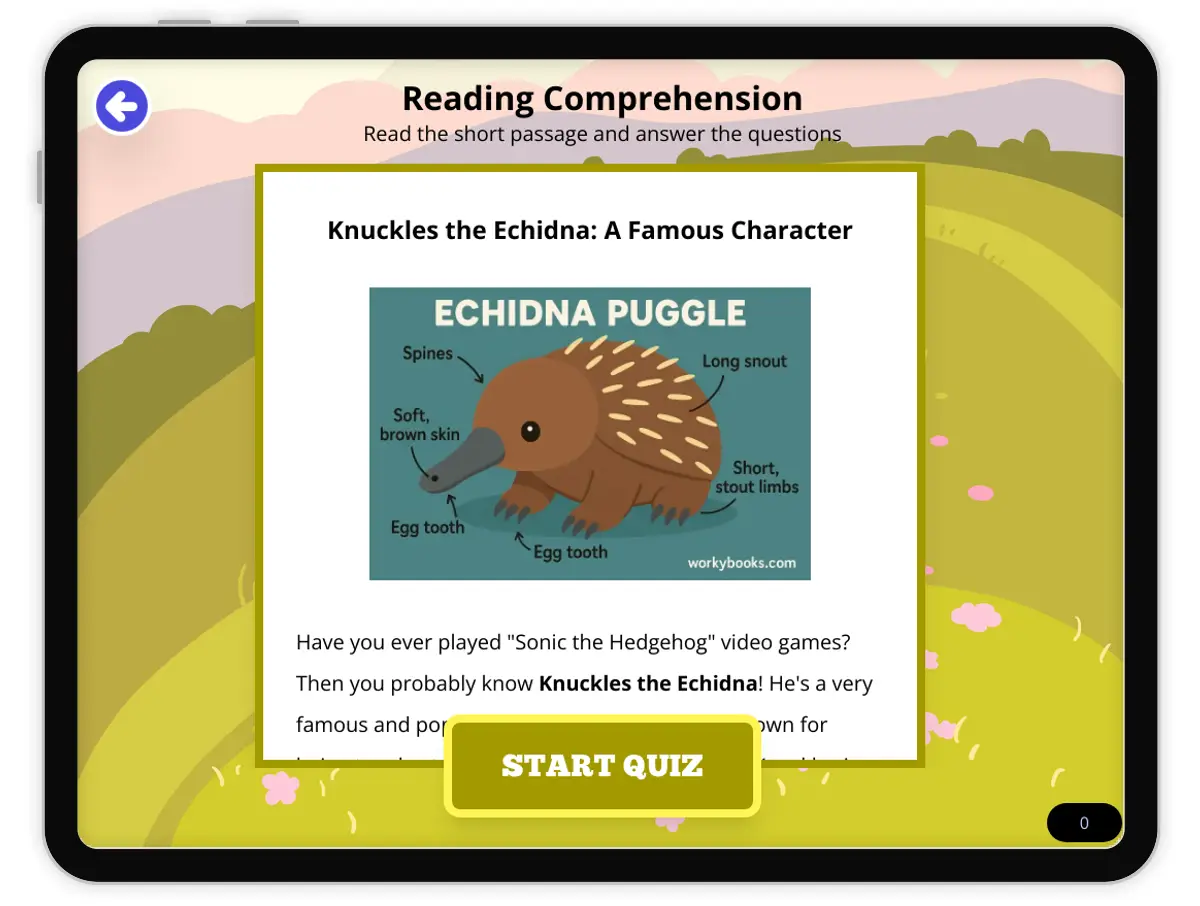 Interactive — Reading Comprehension preview: Knuckles the Echidna: A Famous Character covering MS-LS4-D, MS-LS4 standards - Page 1 of null