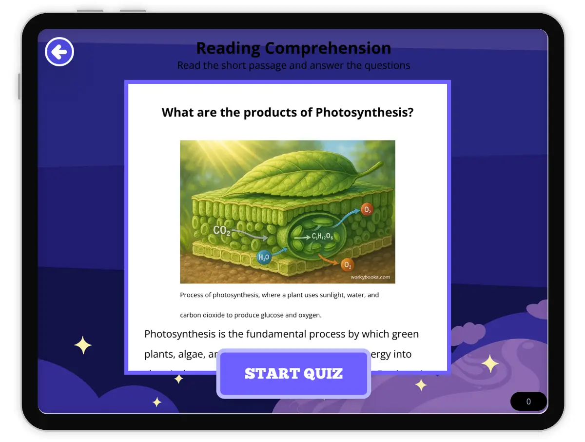 Interactive — Reading Comprehension preview: What are the products of Photosynthesis? covering  standards - Page 1 of null