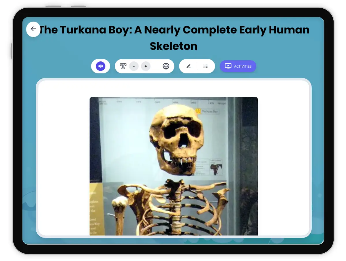 Interactive — Reading Comprehension preview: The Turkana Boy: A Nearly Complete Early Human Skeleton covering  standards - Page 1 of 1