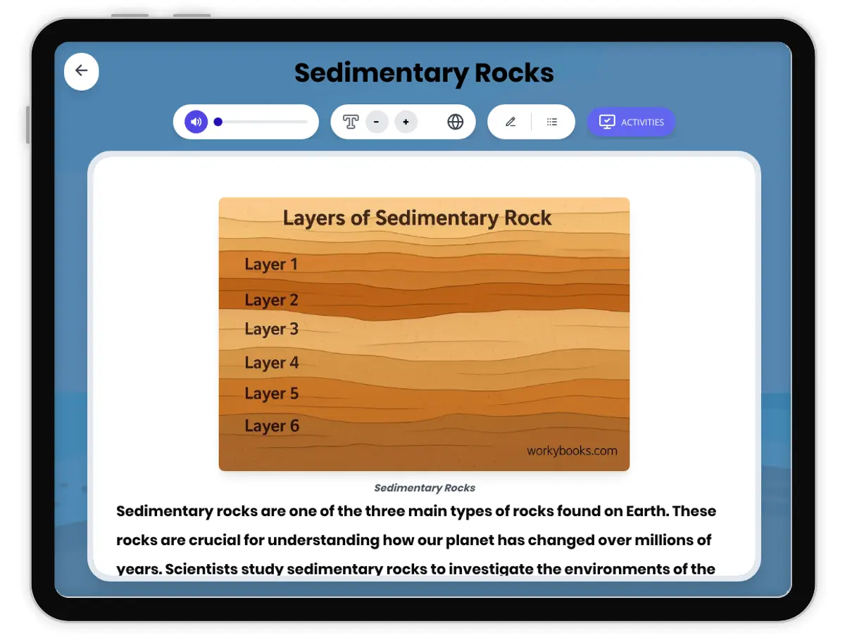 Interactive — Reading Comprehension preview: Sedimentary Rocks covering MS-ESS2-1, MS-ESS2-3, MS-ESS3-1 standards - Page 1 of 1