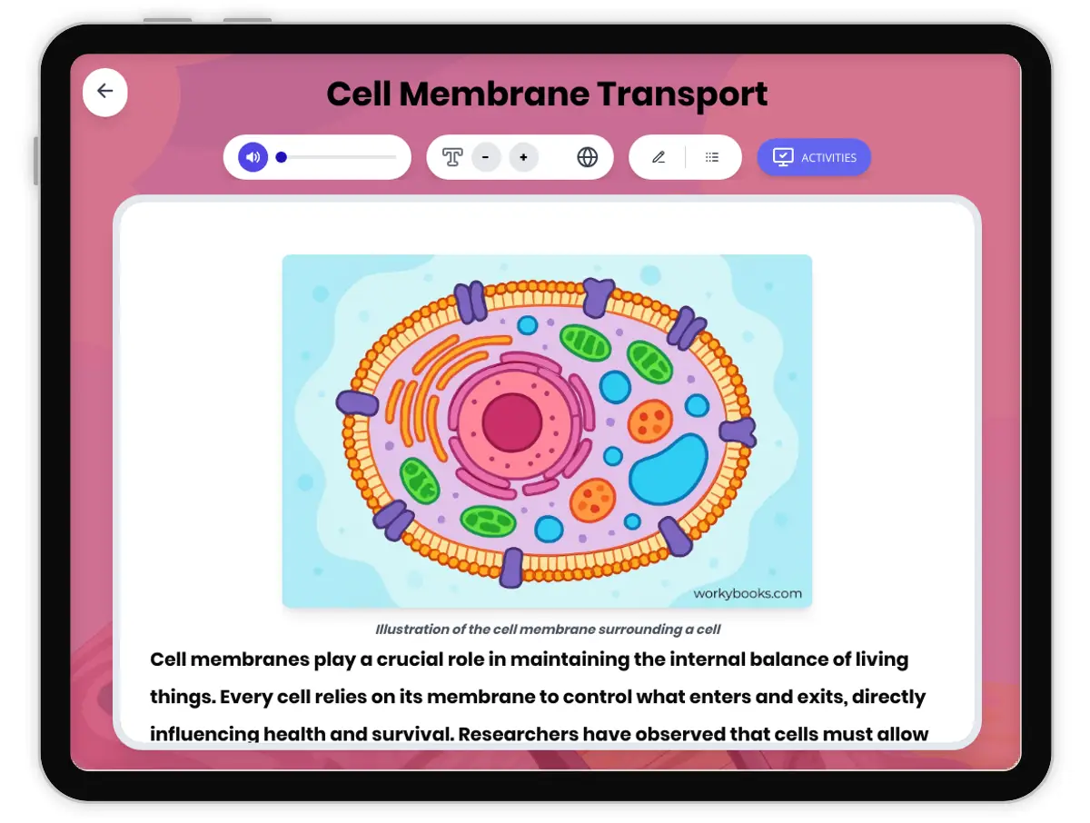 Interactive — Reading Comprehension preview: Cell Membrane Transport covering MS-LS1-2 standards - Page 1 of 1