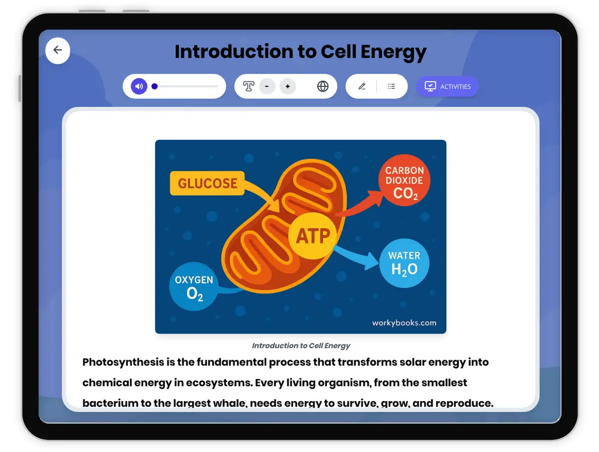 Interactive — Reading Comprehension preview: Introduction to Cell Energy covering MS-LS1-6, MS-LS1-7 standards - Page 1 of 1