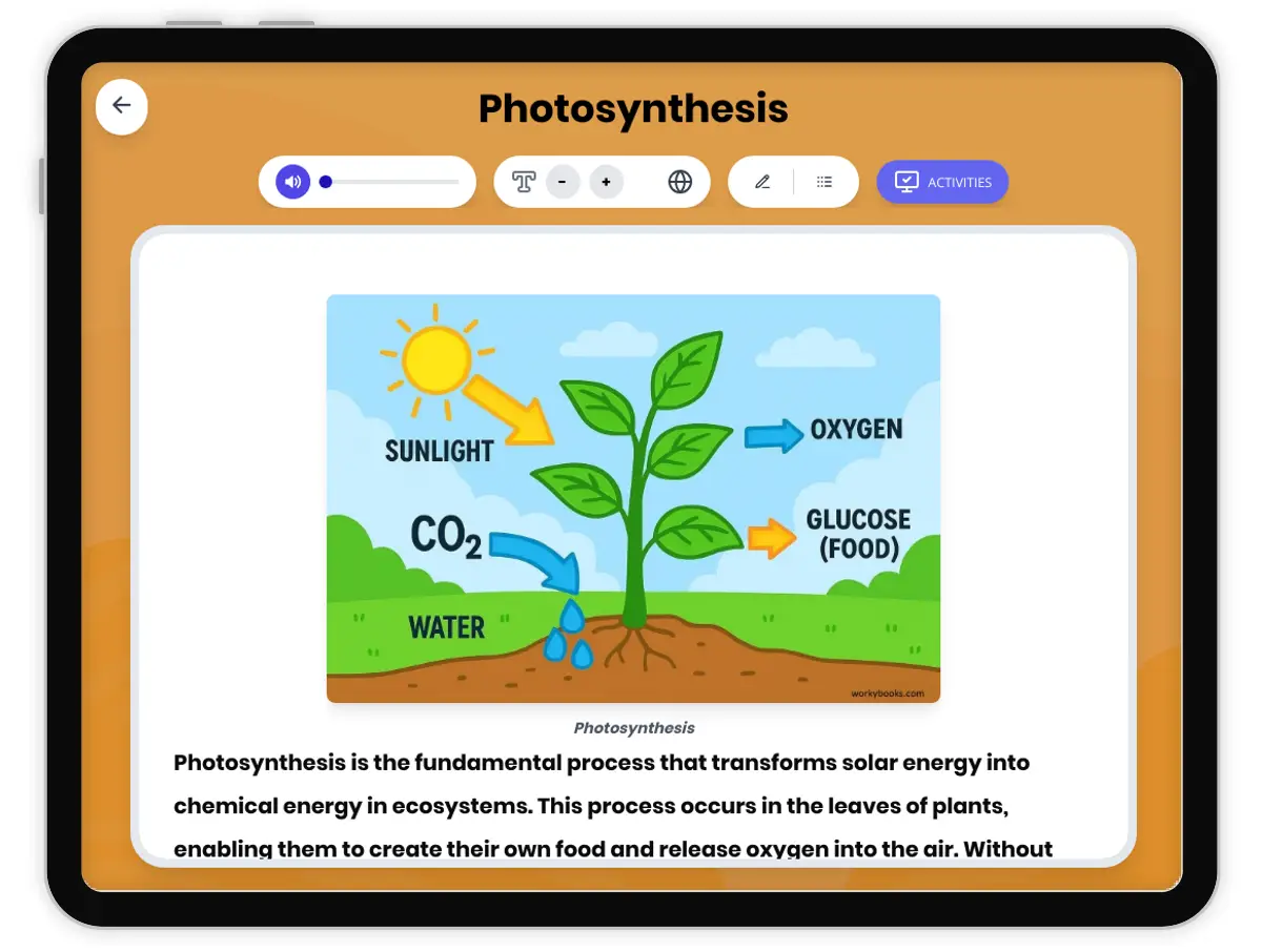 Interactive — Reading Comprehension preview: Photosynthesis covering MS-LS1-6 standards - Page 1 of 1
