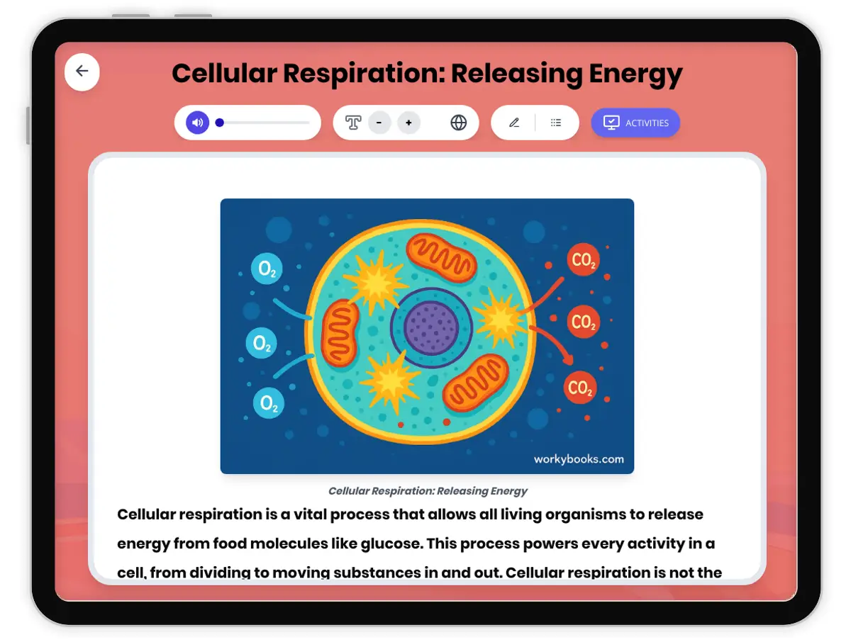 Interactive — Reading Comprehension preview: Cellular Respiration: Releasing Energy covering MS-LS1-7 standards - Page 1 of 1