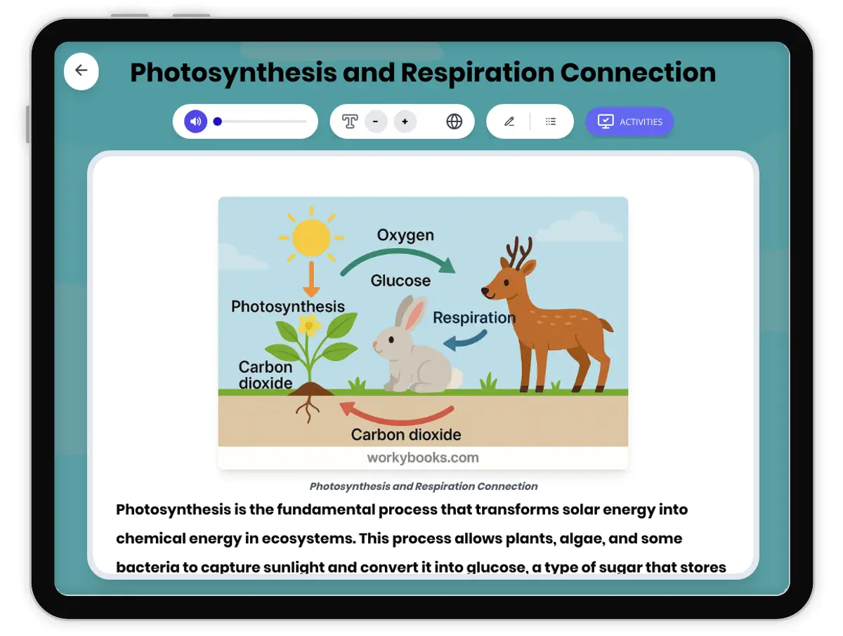 Interactive — Reading Comprehension preview: Photosynthesis and Respiration Connection covering MS-LS1-6, MS-LS1-7 standards - Page 1 of 1