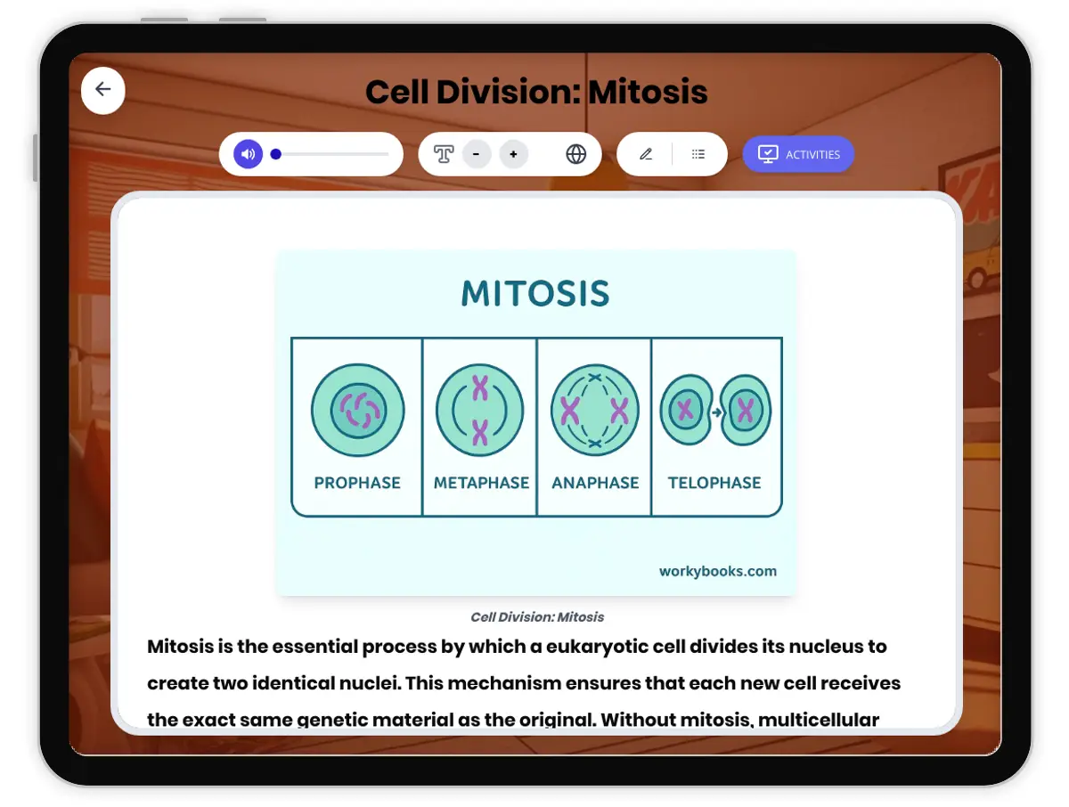 Interactive — Reading Comprehension preview: Cell Division: Mitosis covering MS-LS1-4 standards - Page 1 of 1