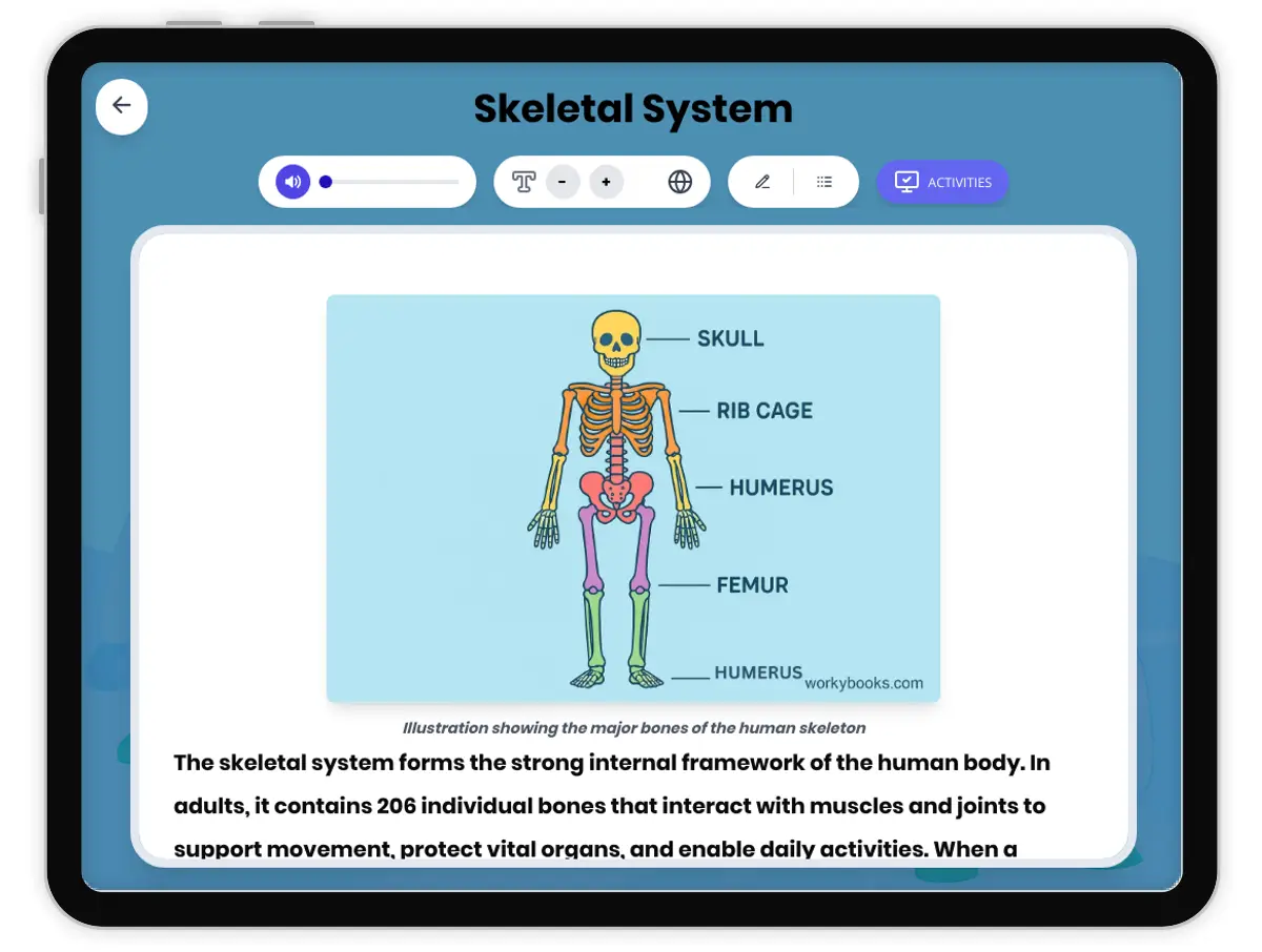 Interactive — Reading Comprehension preview: Skeletal System covering MS-LS1-3 standards - Page 1 of 1