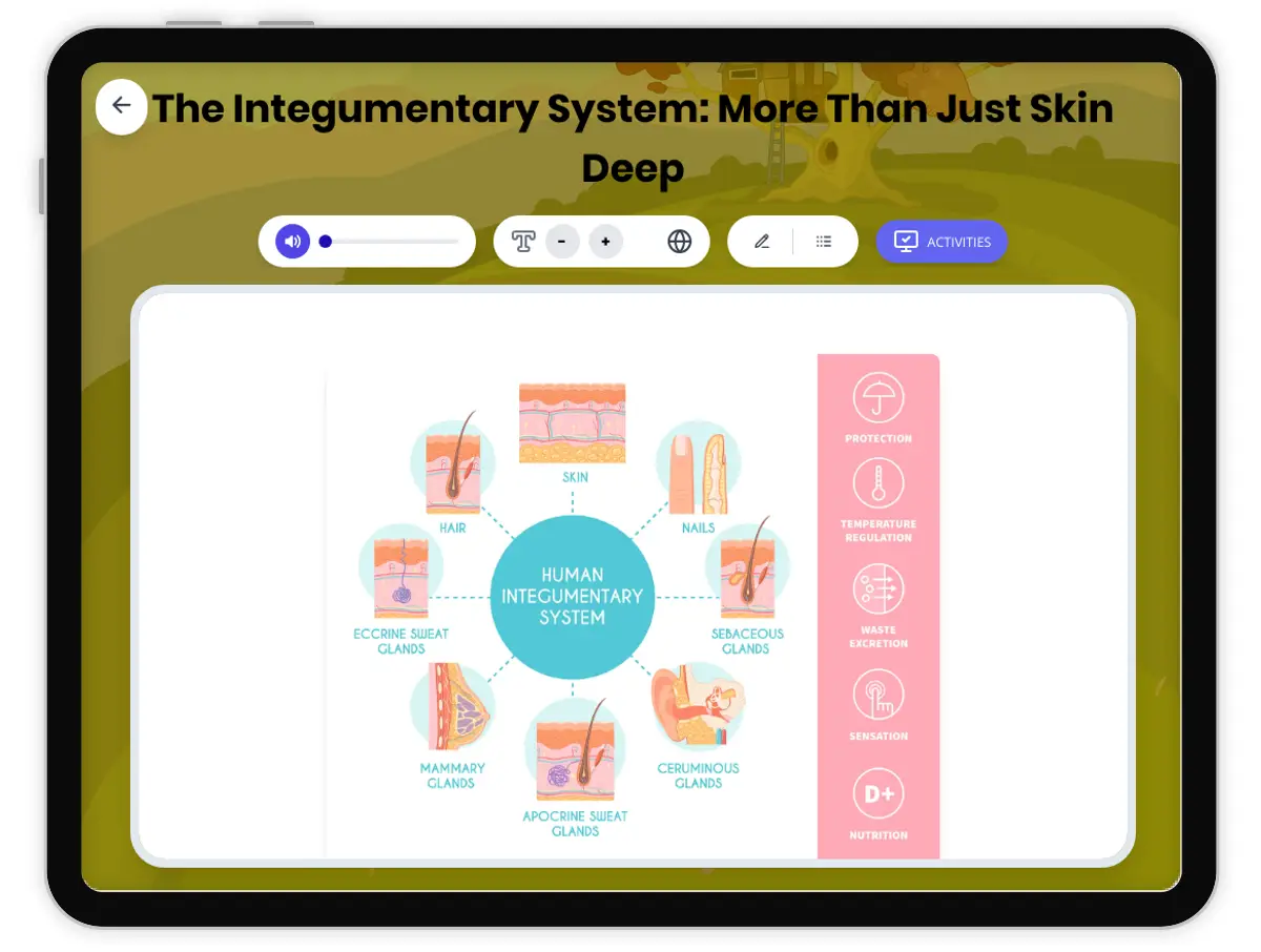 Interactive — Reading Comprehension preview: Integumentary System covering MS-LS1-3 standards - Page 1 of 1