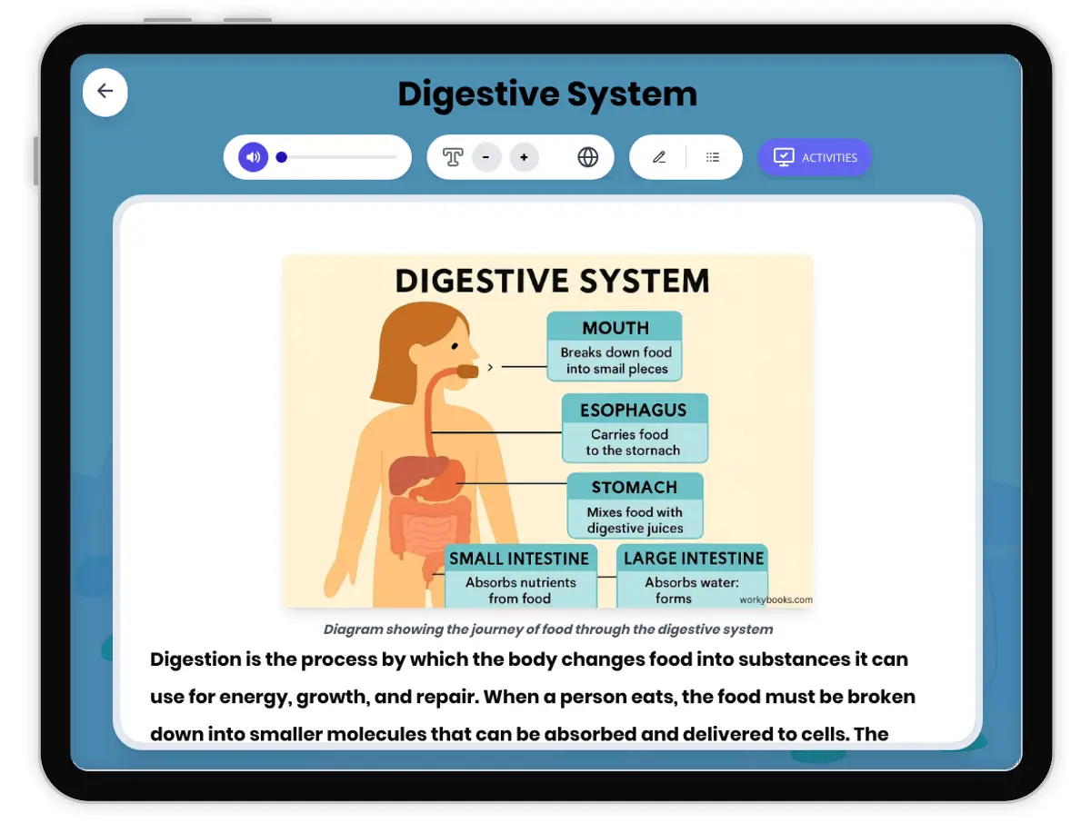 Interactive — Reading Comprehension preview: Digestive System covering MS-LS1-3, MS-LS1-7 standards - Page 1 of 1