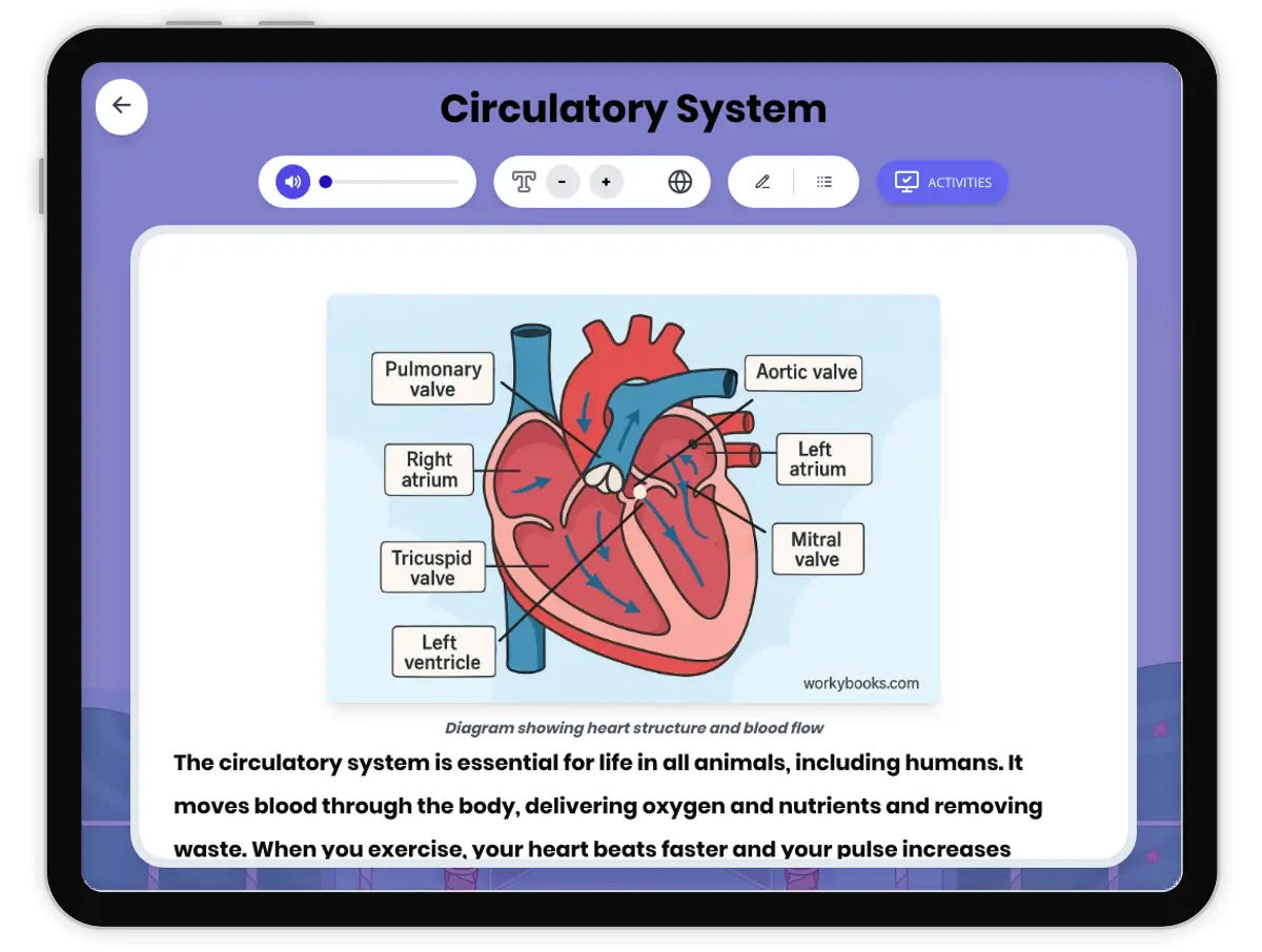 Interactive — Reading Comprehension preview: Circulatory System covering MS-LS1-3 standards - Page 1 of 1