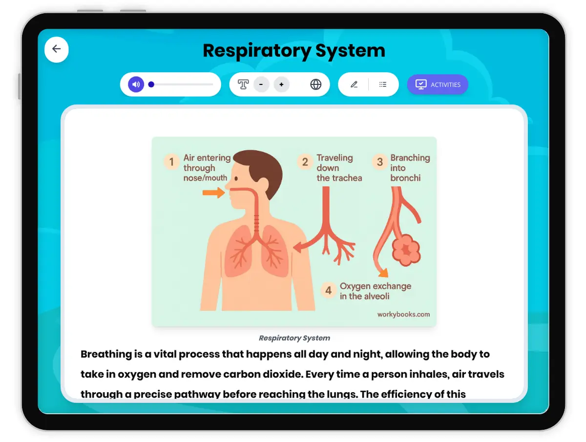 Interactive — Reading Comprehension preview: Respiratory System covering MS-LS1-3, MS-LS1-7 standards - Page 1 of 1