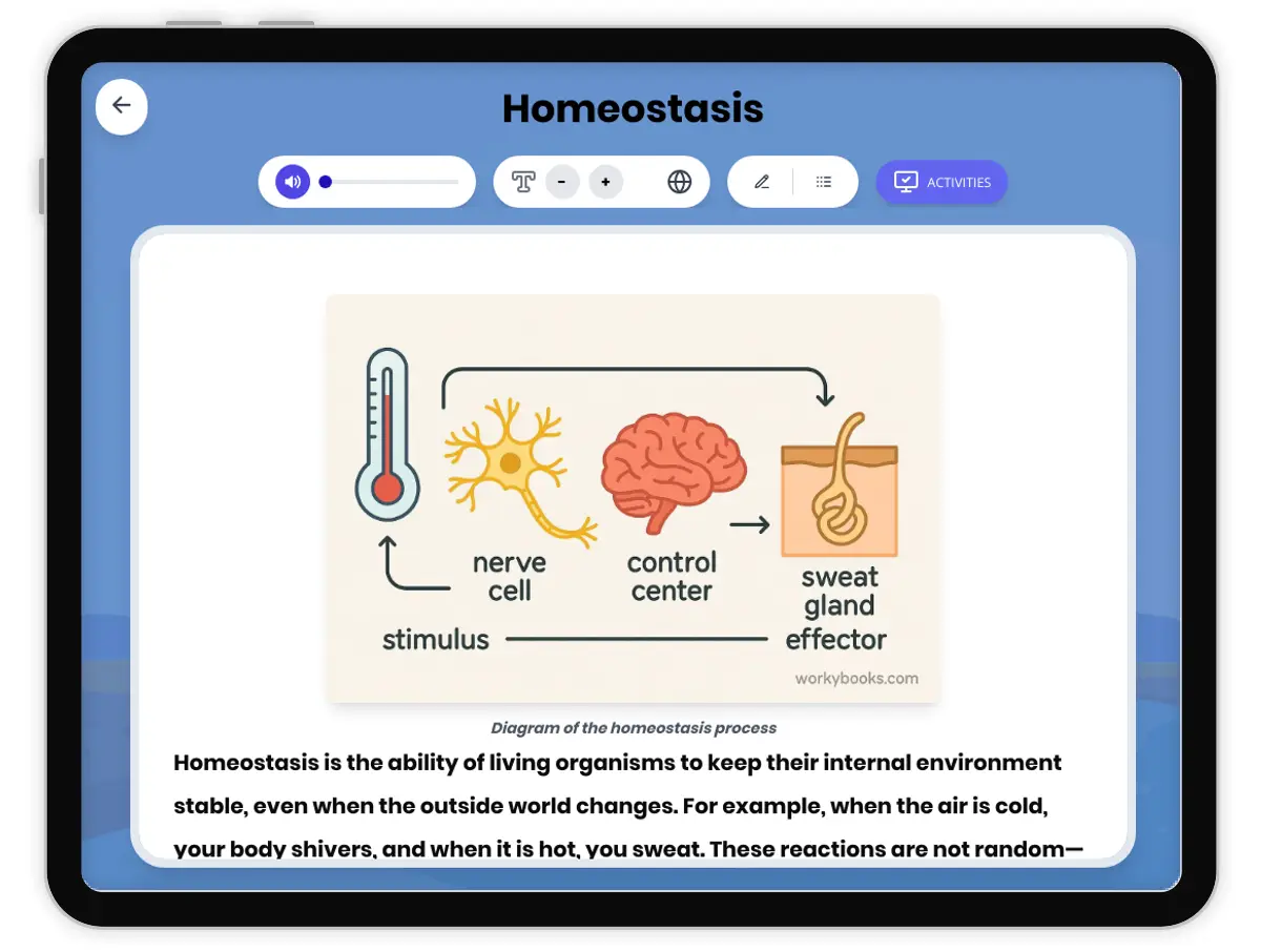 Interactive — Reading Comprehension preview: Homeostasis covering MS-LS1-3 standards - Page 1 of 1