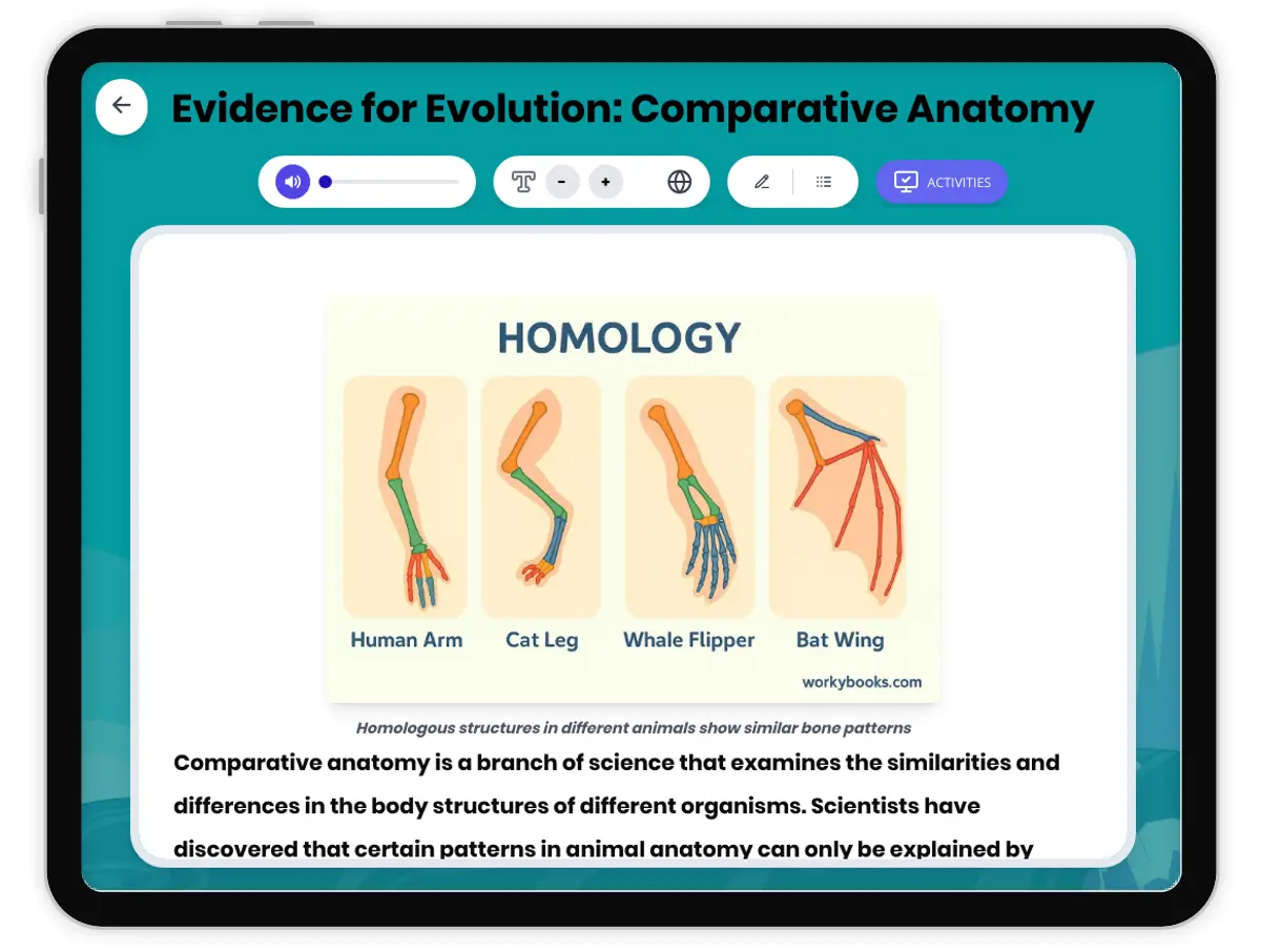 Interactive — Reading Comprehension preview: Evidence for Evolution: Comparative Anatomy covering MS-LS4-2, MS-LS4-3 standards - Page 1 of 1
