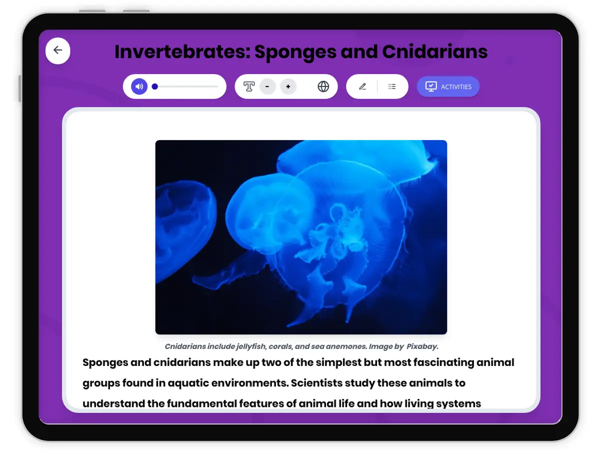 Interactive — Reading Comprehension preview: Invertebrates: Sponges and Cnidarians covering MS-LS4-2 standards - Page 1 of 1