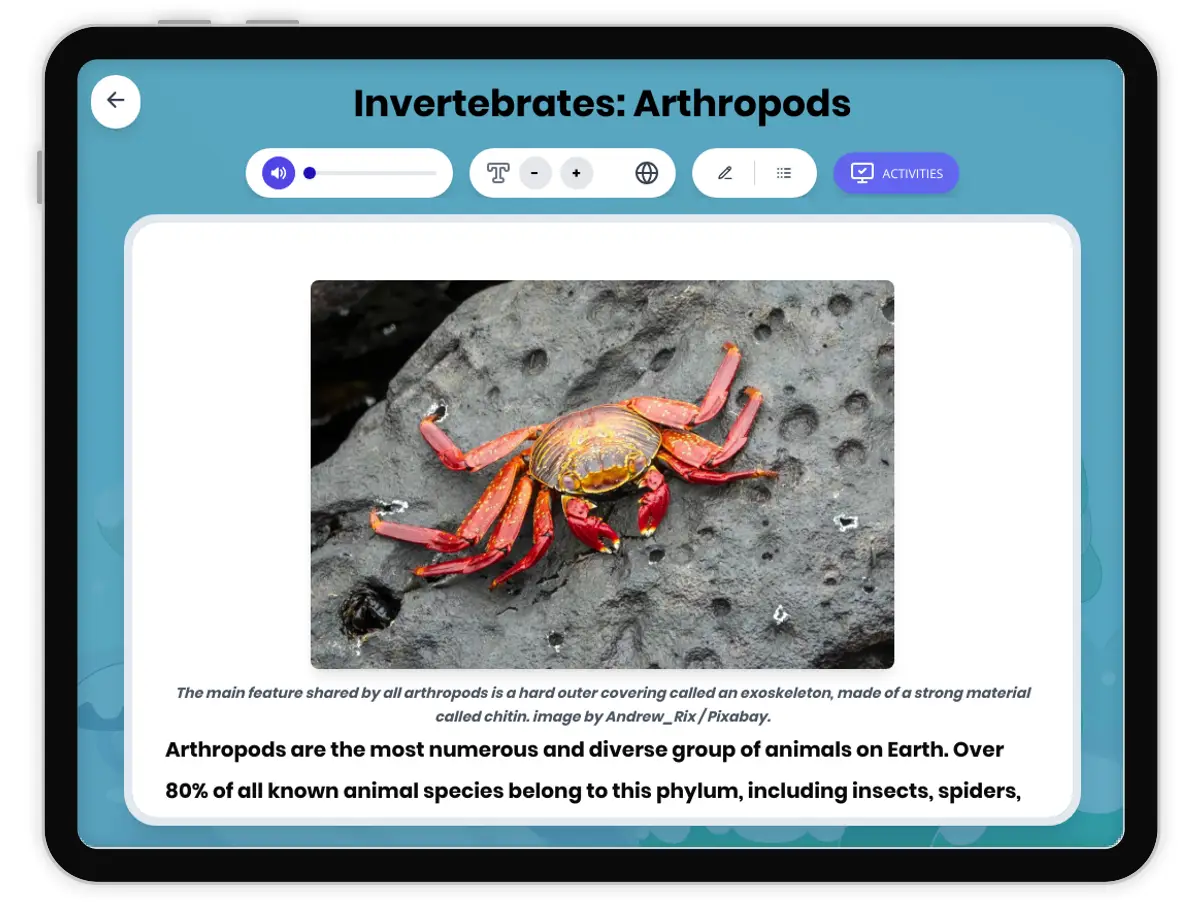 Interactive — Reading Comprehension preview: Invertebrates: Arthropods covering MS-LS4-2, MS-LS4-4 standards - Page 1 of 1