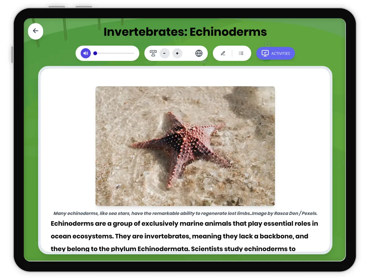 Interactive — Reading Comprehension preview: Invertebrates: Echinoderms covering MS-LS4-2 standards - Page 1 of 1