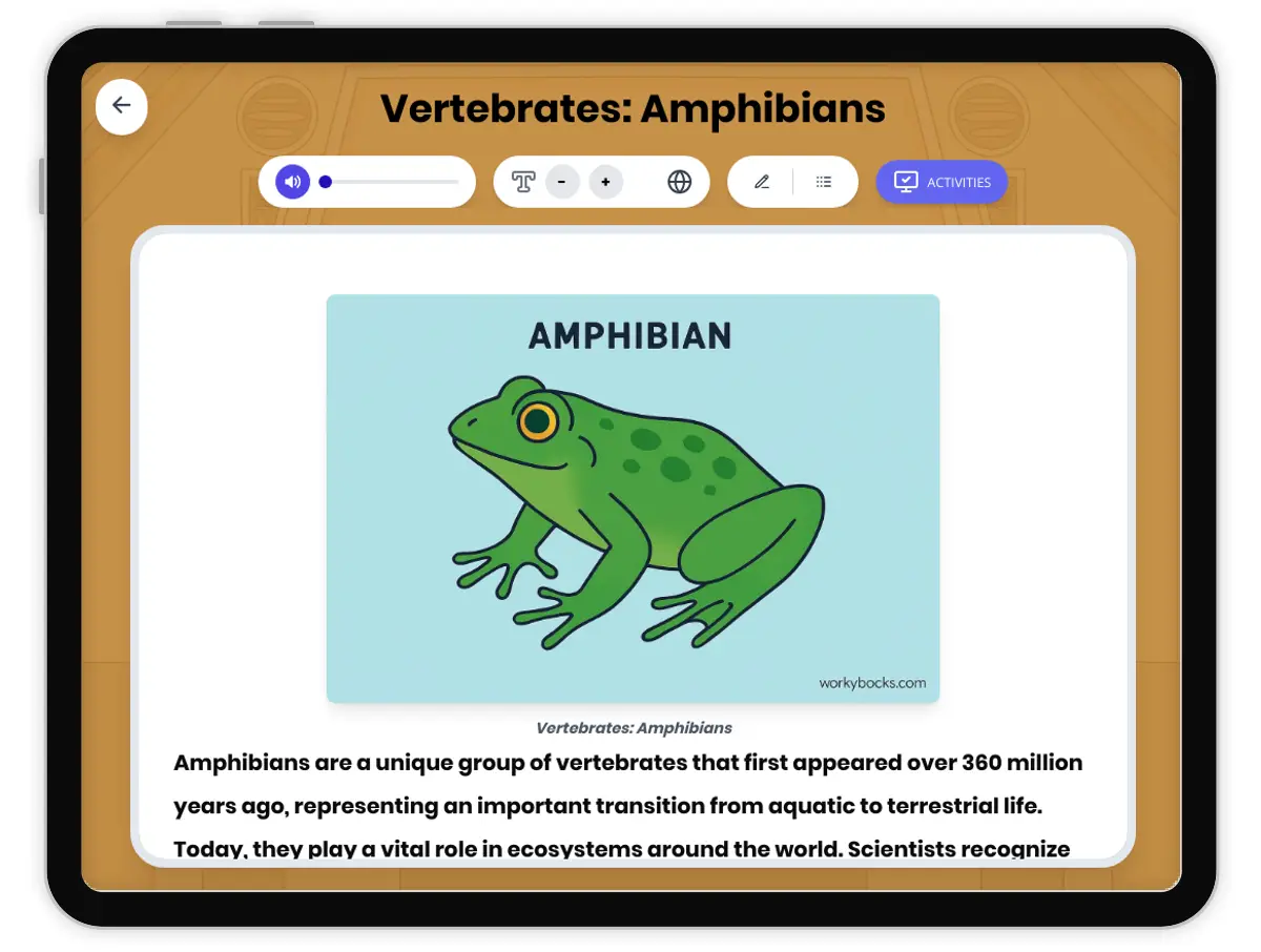 Interactive — Reading Comprehension preview: Vertebrates: Amphibians covering MS-LS4-2, MS-LS4-4 standards - Page 1 of 1